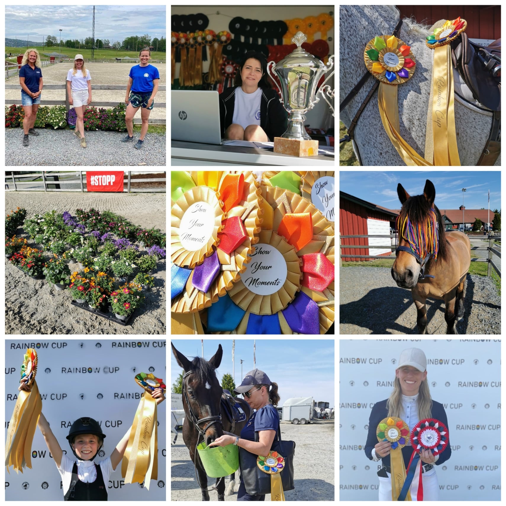 Image for Arbeidsliste til samarbeidsstevne i sprang 14. september